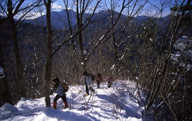 高川山